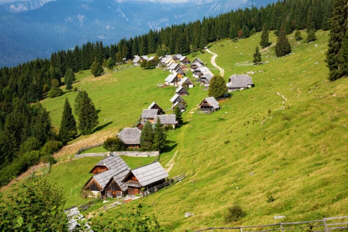 Pokljuka, jedna pitoma i lepa Slovenija (2)