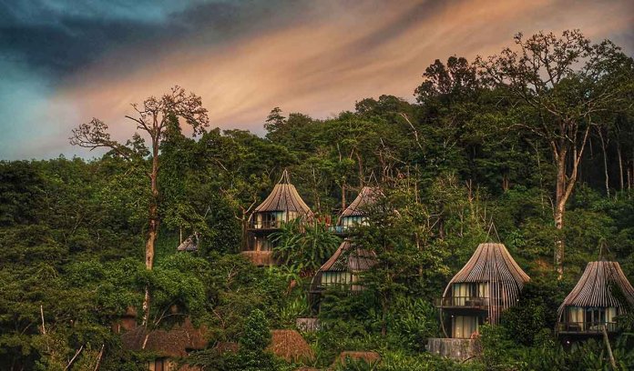 Novo odmaralište proizvodi vodu iz vazduha afrika kucice na drvetu