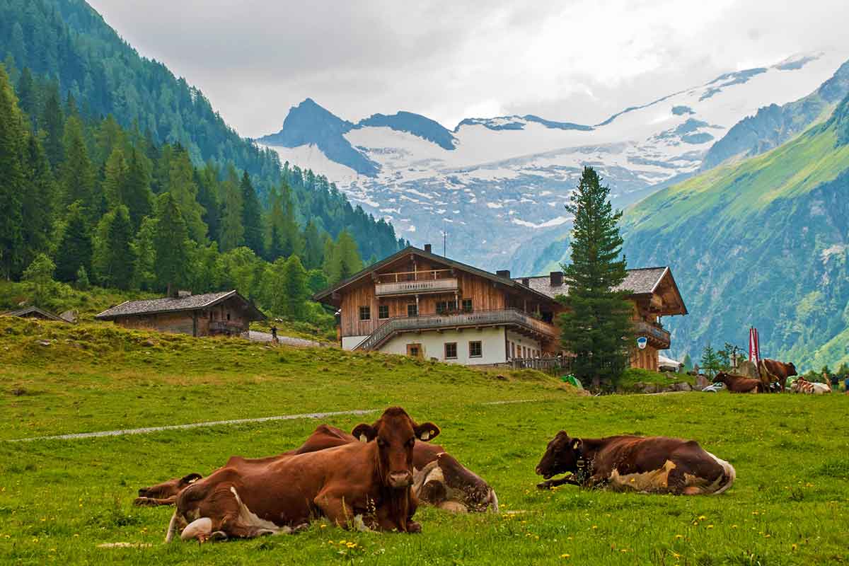 Austrija Tirol Alpi