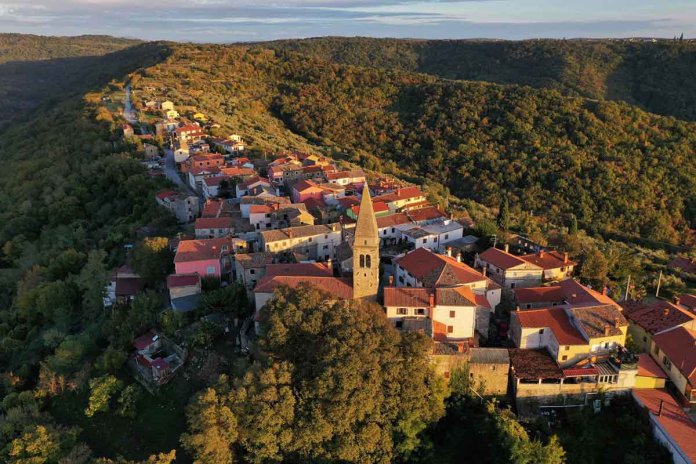 Padna u znaku ulja i blitve (1)