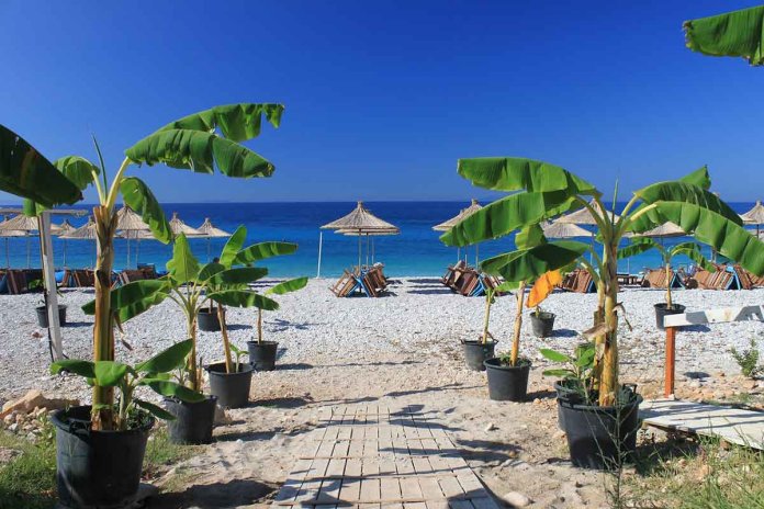 Bali na evropski način albanija dermi