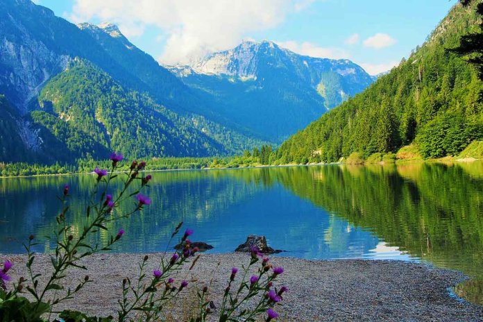 Krnsko jezero Slovenija