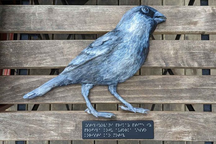 Postavljen 11 model murala za slepe i slabovide u kafe - baru 16