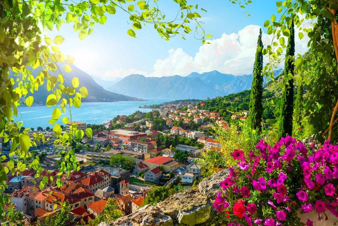 Kotor