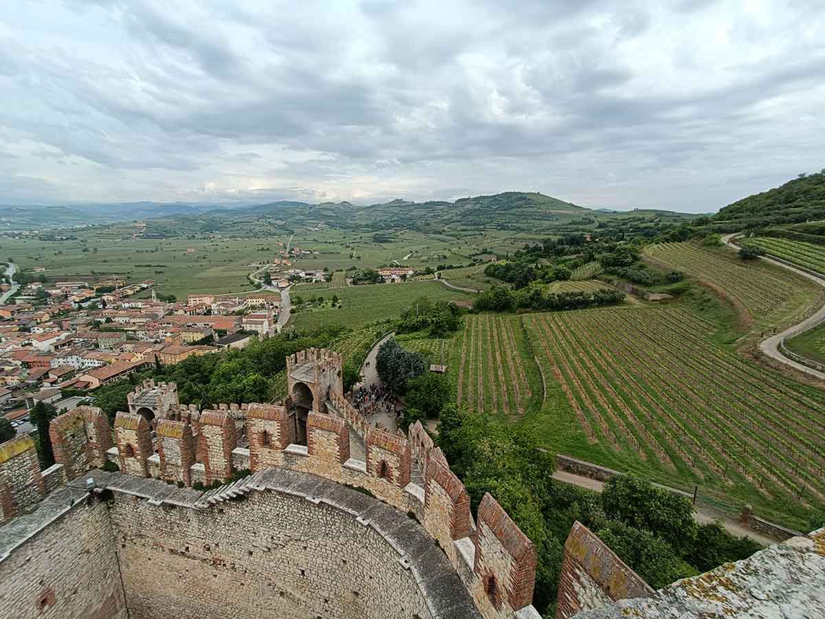 Soave vina, spoj italijanske tradicije i šarma