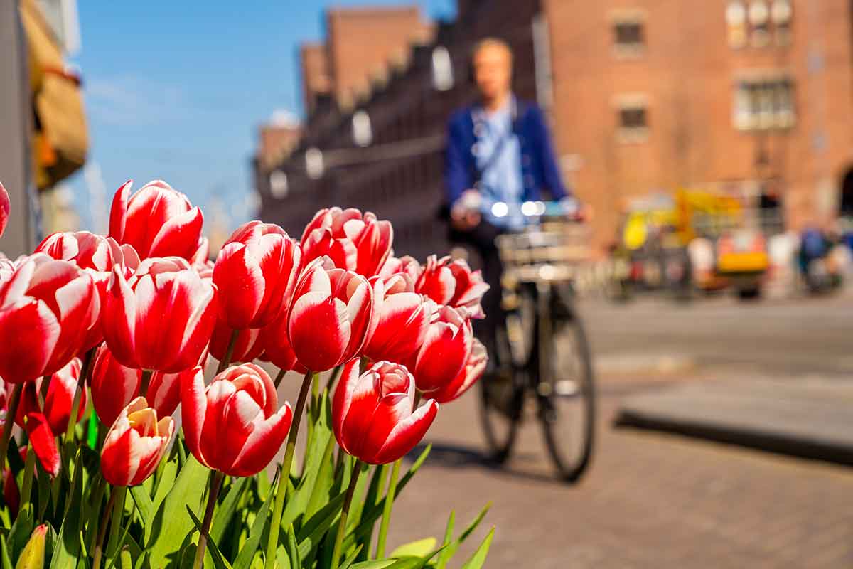 Prvi Nacionalni park Grad u EU Breda Holandija