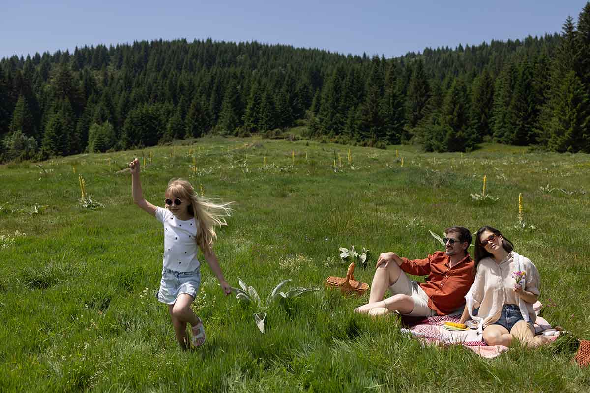 Na visini leta tišina, planina, Hotel Grand Kopaonik (1)