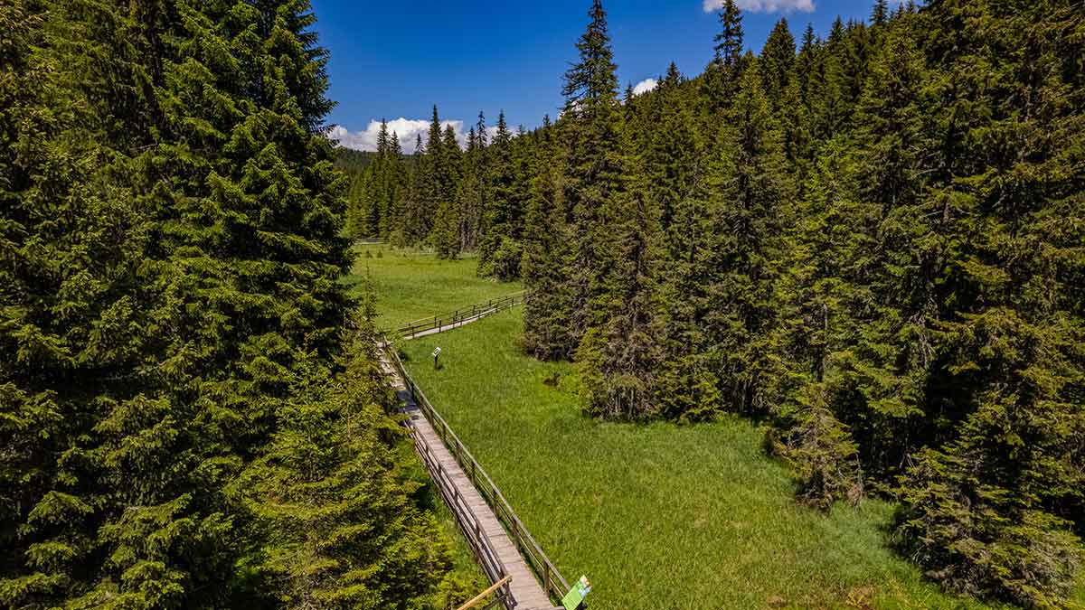 Na visini leta tišina, planina, Hotel Grand Kopaonik (1)