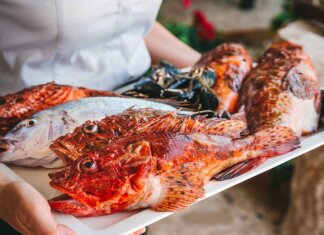 Kvarner 2026: Evropska prestonica ukusa i održivog gostoprimstva Gastronomija – pravi razlog da u jesen posetite Kvarner