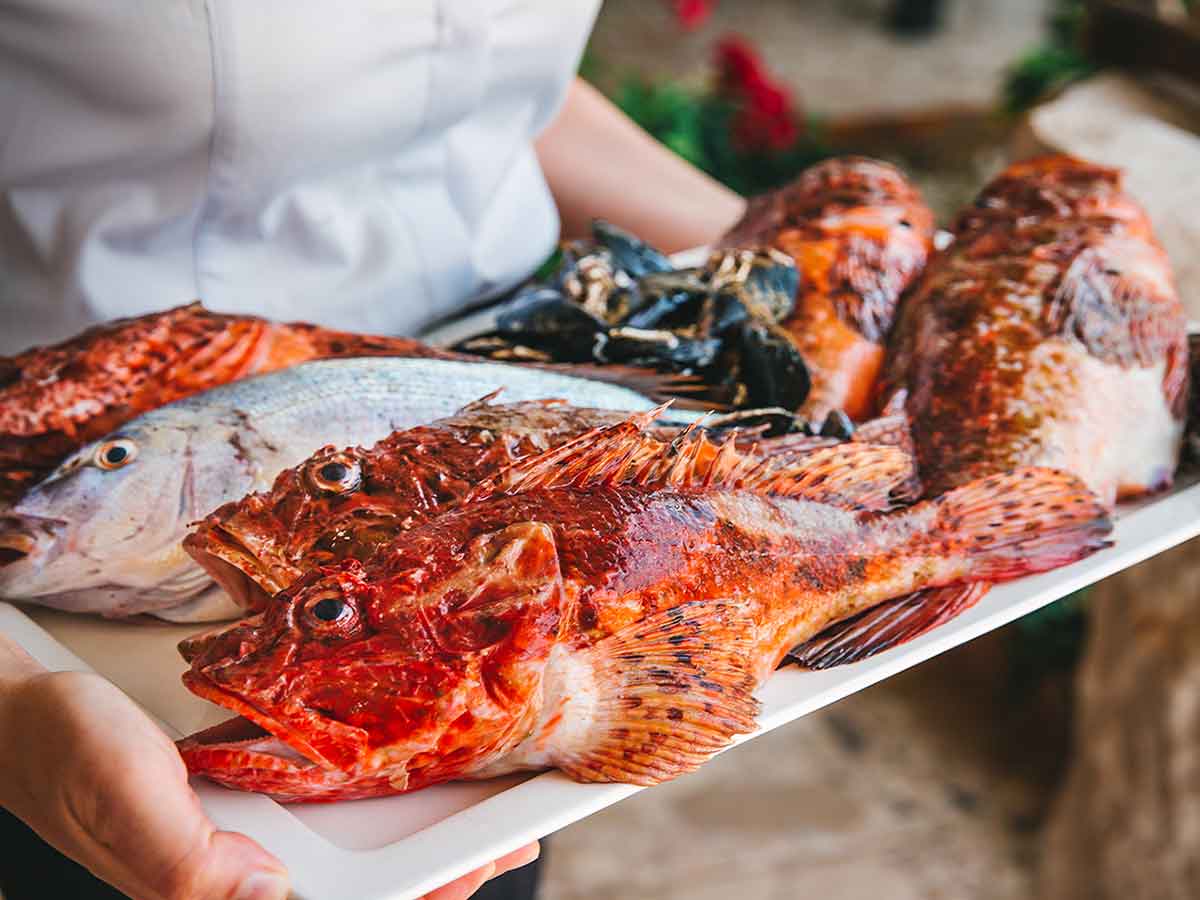 Gastronomija – pravi razlog da u jesen posetite Kvarner (1) Gastronomija – pravi razlog da u jesen posetite Kvarner