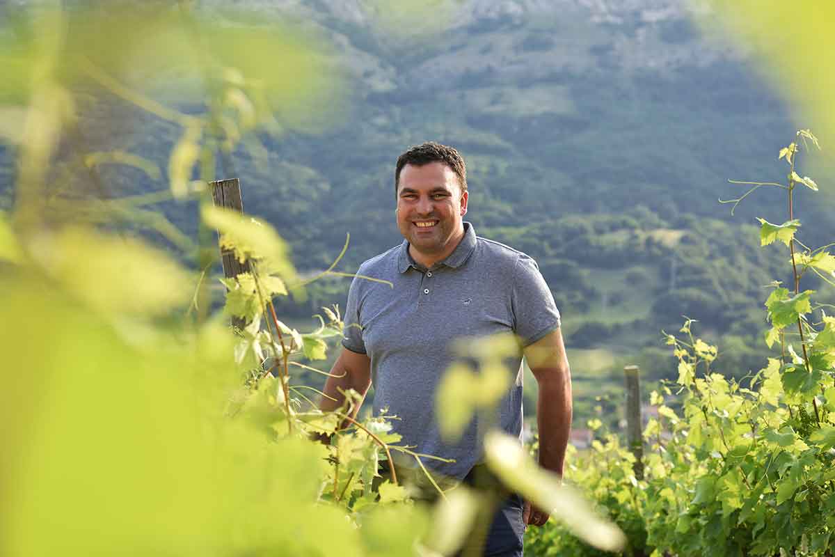 Vinske zvezde sa Kvarnera