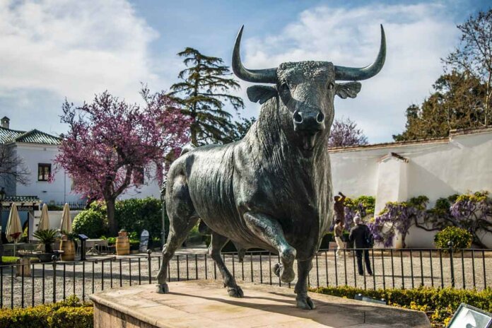 Toro de España Toro de España