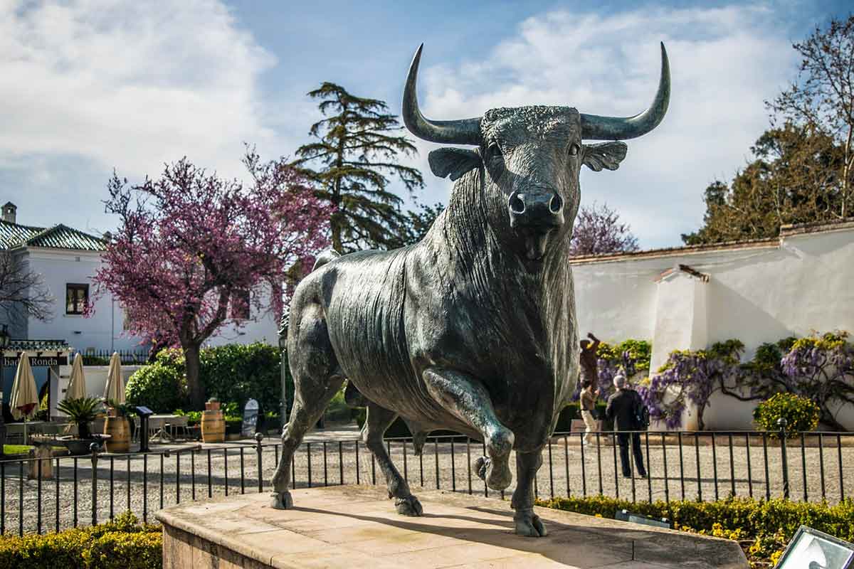 Toro de España