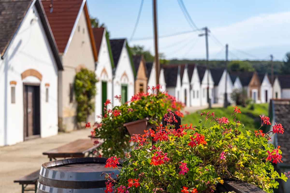 Vilanj (Villány) Mađarska