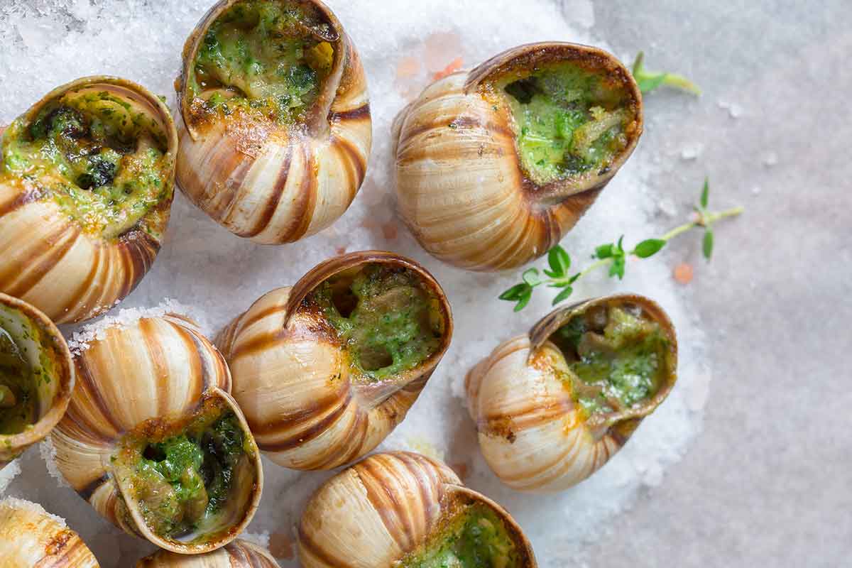 Puževi eskargo escargot