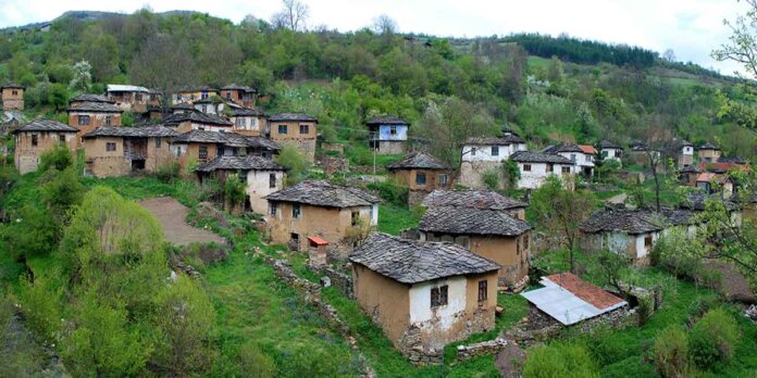 Gostuša