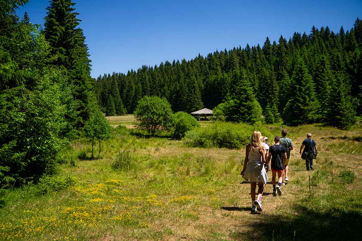 Grand Kopaonik