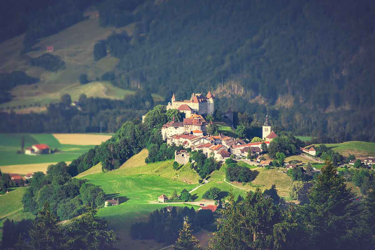 Grijer švajcarska