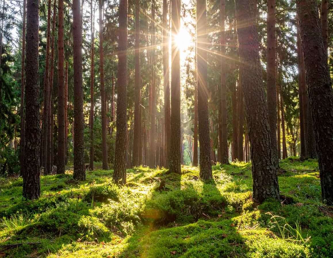 Nova filozofija življenja – Wellnes & SPA turizam