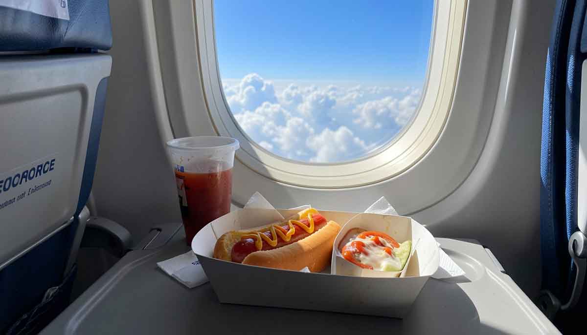 Hot dog avion hrana